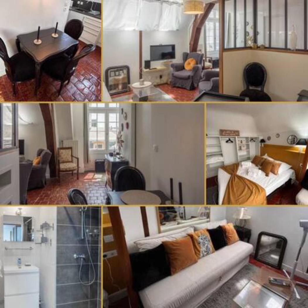 Le Sainte Anne *Studio* Lejlighed Orléans Eksteriør billede