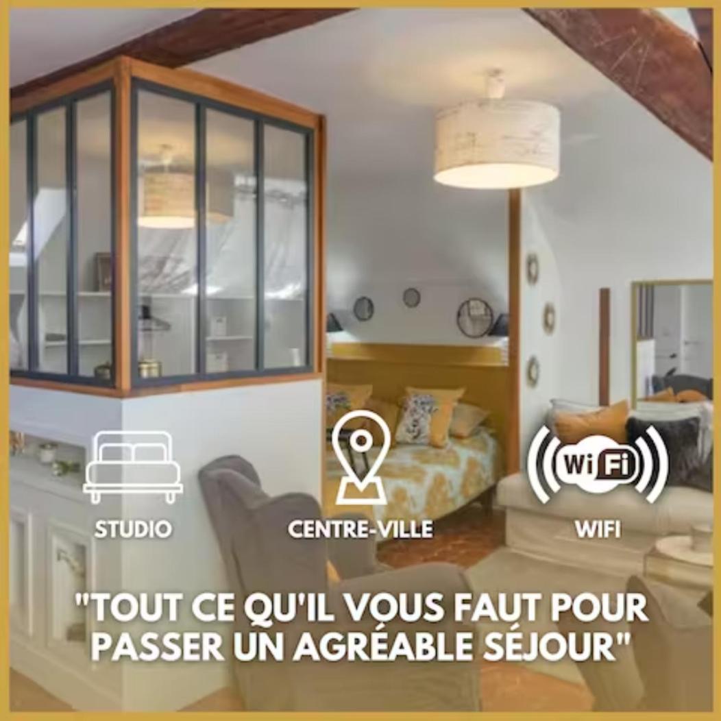 Le Sainte Anne *Studio* Lejlighed Orléans Eksteriør billede