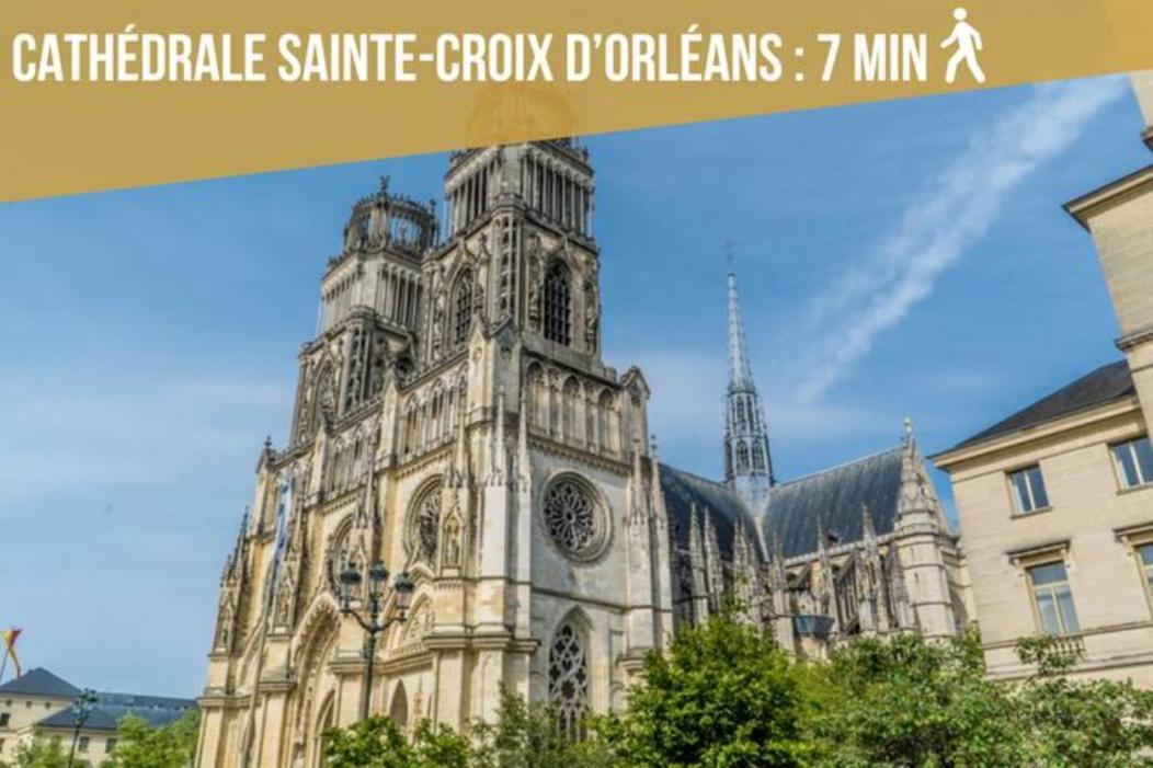Le Sainte Anne *Studio* Lejlighed Orléans Eksteriør billede